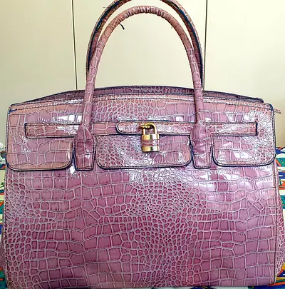 Aldo Bag (can fit laptop)