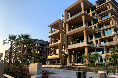 PALM AND OCEAN-SUNSET | SKYLINE VIEWS | OPTIONS