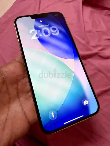 13 Pro Max l 256GB l Gold Excellent Condition