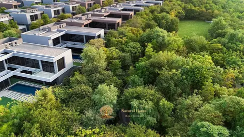 Freehold for All: 3BR Forest Townhouse, 5% Down & 100k Trees!