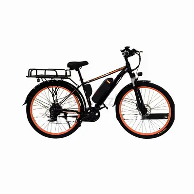 Megawheels Hauler Electric bike with carrier and removable lithium battery 48 v
