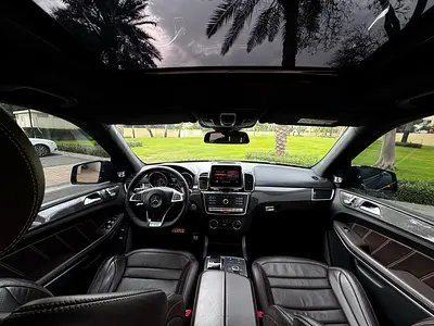 صورة 9 لـ 2016 Mercedes-BENZ GLS
