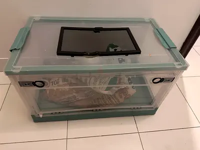 Clear ventilated plastic terrarium / travel reptile enclosure