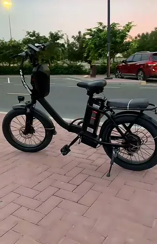 E bike