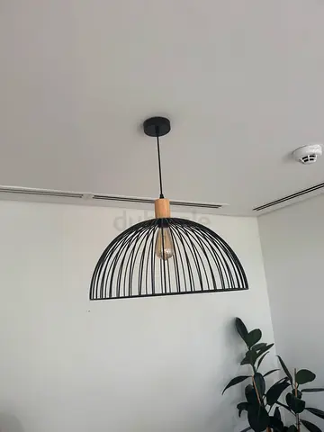 Black wire-cage pendant ceiling light with wooden accent
