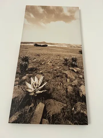 Wall Hanging Canvas – Sepia Nature  Beach measures 120cm length by 80cm width very light