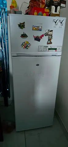 My 2-door top-freezer refrigerator — working condition