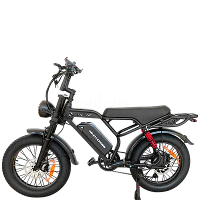Wind Horse V8 Pro Electric Bike