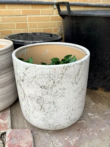 Large white textured garden planter