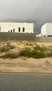 For sale: land in the Al-Houshi area, toward Al-Nouf, in an excellent location. Area: 10,000 square 
