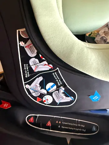 Green convertible toddler car seat with 5-point harness