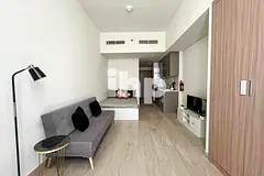 Furnished |Luxury Studio | High Roi