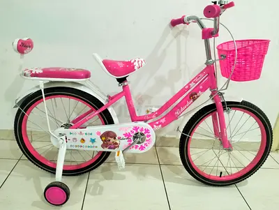 Pink Cycle