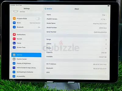( ipad pro 10.5 - inch ) 256 GB with Cellular Data
