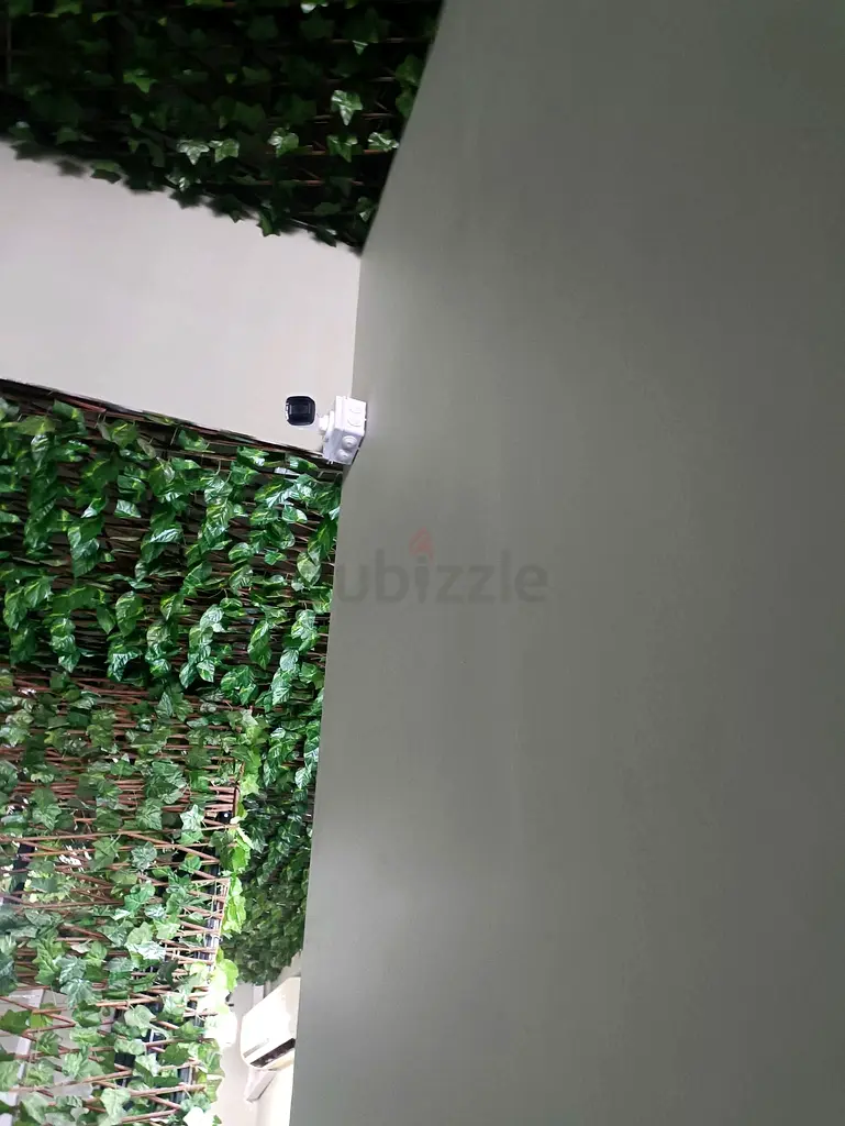 DPV_View_Image_5