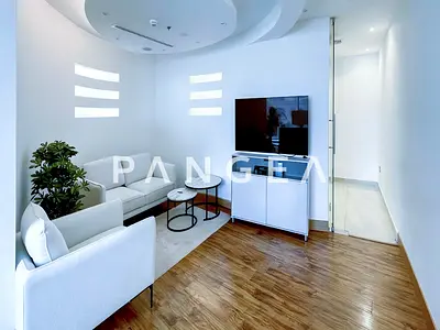 Furnished | Fitted with Partitions | Burj Khalifa View