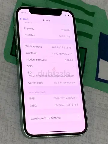 Apple iPhone with 256GB Storage