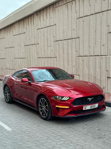 Mustang Performance pack