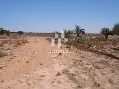 Prime land in Al Blida 3 on Maliha Road