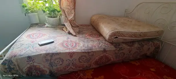 single daybed with mattress - used