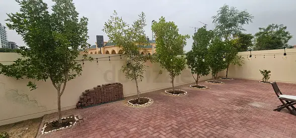 Garden trees for sale – multiple trees available