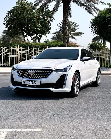 NO DEPOSIT OPTION AVAILABLE -SUMMER OFFER - LIMITED OFFER - CRYPTO PAYMENT ACCEPTED - FREE DELIVERY