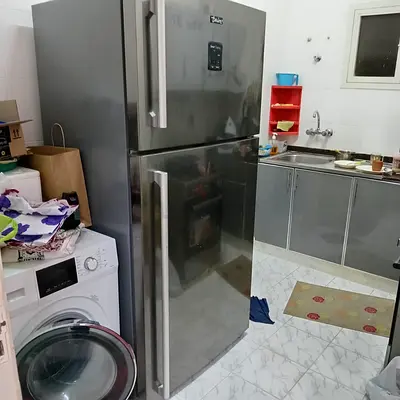My double-door stainless steel fridge (top freezer) - minor problem.