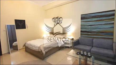Furnished ||spacious Studio || Near marina walk||