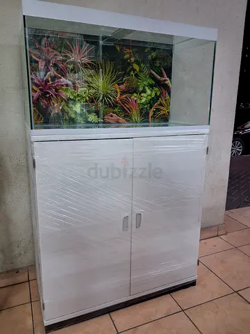 Aquarium 80cm brand new set customized