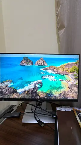 HP Monitor