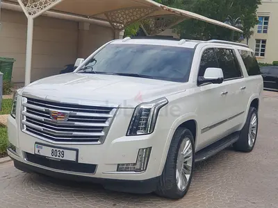 2019 1st owner 39000 KM only