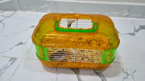 قفص هامستر قياس 28 cm والهامستر للتبني