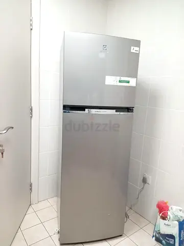 This fridge is ready for sell