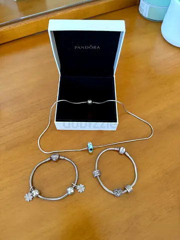 Pandora Bracelet and Charm Set