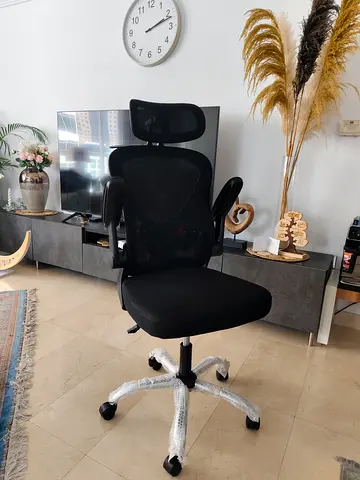 Ergonomic Office Chair with Headrest