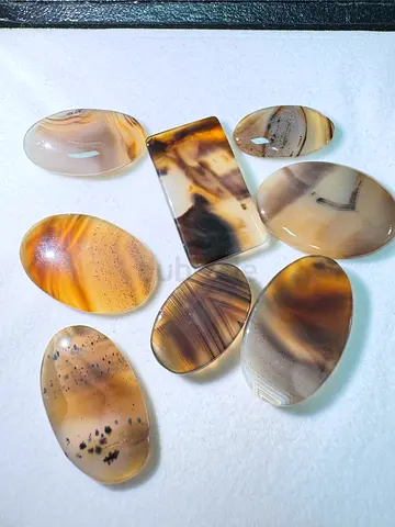 Lot of 8 Polished Indian Agate Cabochons — Assorted Sizes