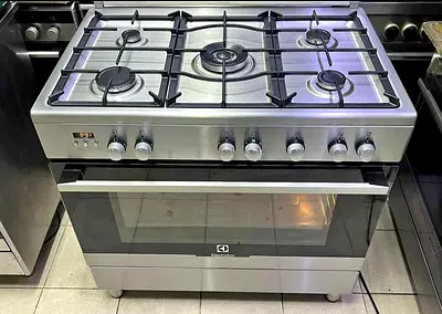 Electrolux 5-Burner Stainless Steel Gas Range with Oven - Working Condition