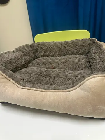 Cat/ dog bed premium quality