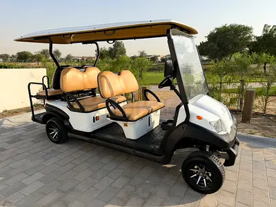 Eagle golf buggy 6 seater