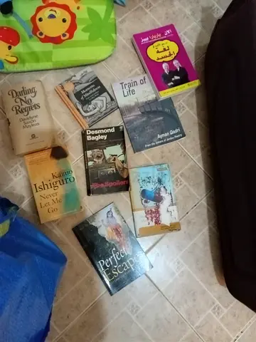 Small collection of fiction books — includes Never Let Me Go