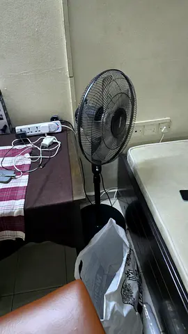 Table fan