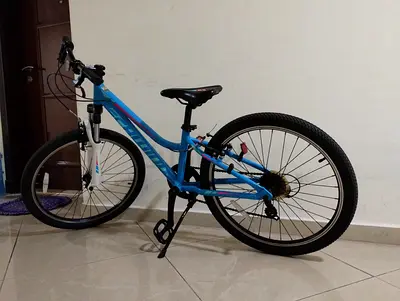 My childs blue and pink kids bike - good condition