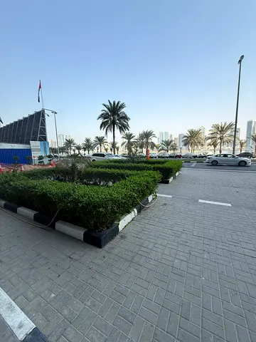 للإيجار في برج النخلة الممزر