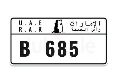 RAK B 685