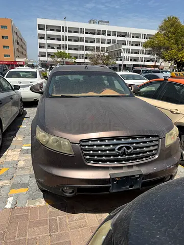 دبي المحيصنة