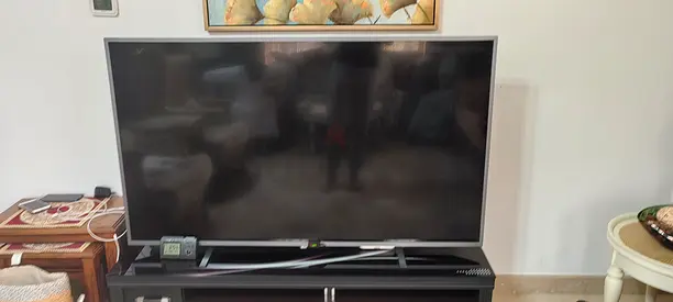 Philips tv 2019 model 65inches full option ( screen shutdown)