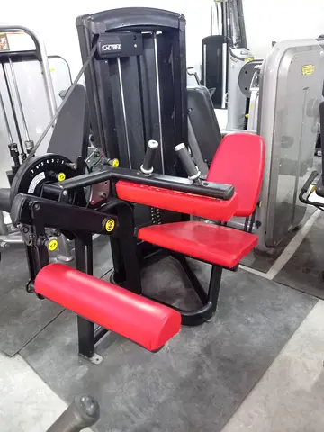 My Commercial Leg Extension  Leg Curl Machine — Used