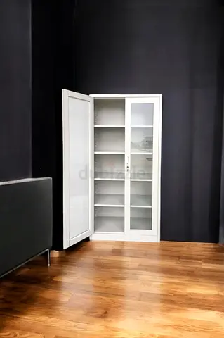 Two Door Steel Elegant Glass Door Cabinet for Storage