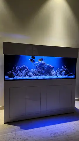 800L Aquarium