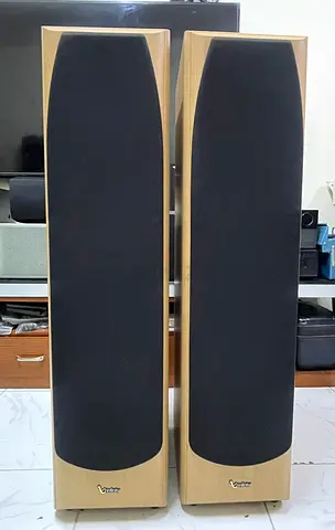 2pc INFINITY ALPHA 50TOWER SPEAKERS